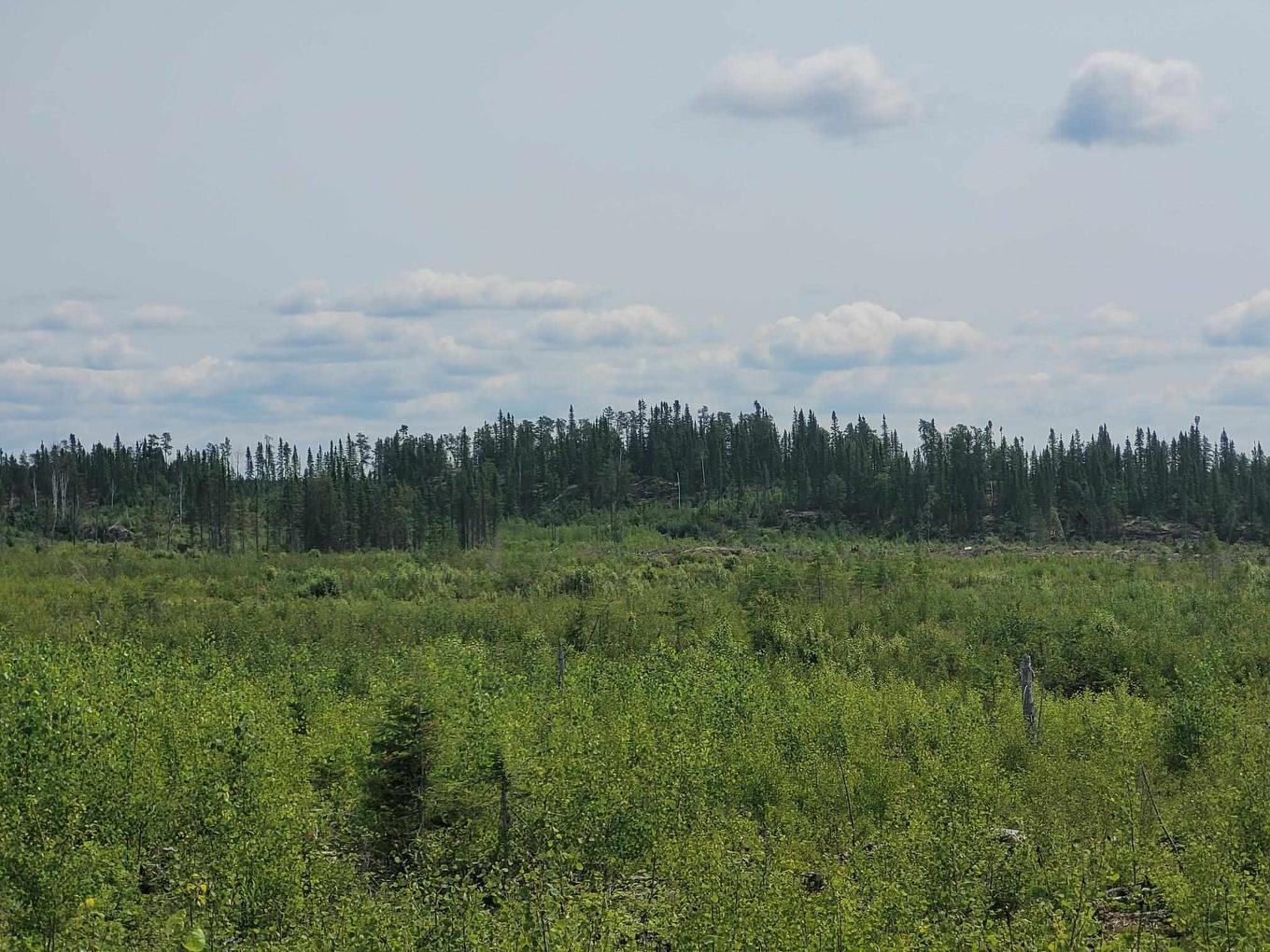 0 Dump Road, Wabigoon, ON