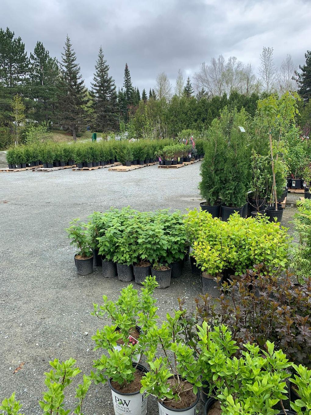 Greenhouse - 215 Ch. England, Rouyn-Noranda, QC - Outdoor