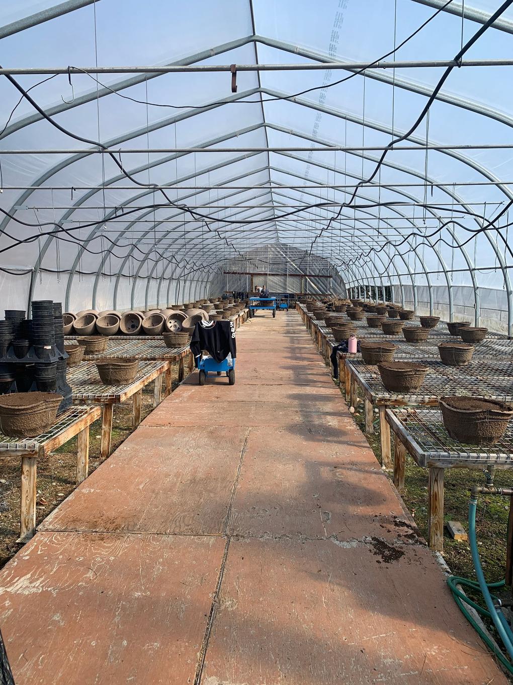 Greenhouse - 215 Ch. England, Rouyn-Noranda, QC - Indoor Photo Showing Other Room