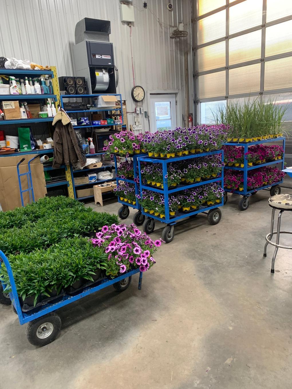 Greenhouse - 215 Ch. England, Rouyn-Noranda, QC - Indoor