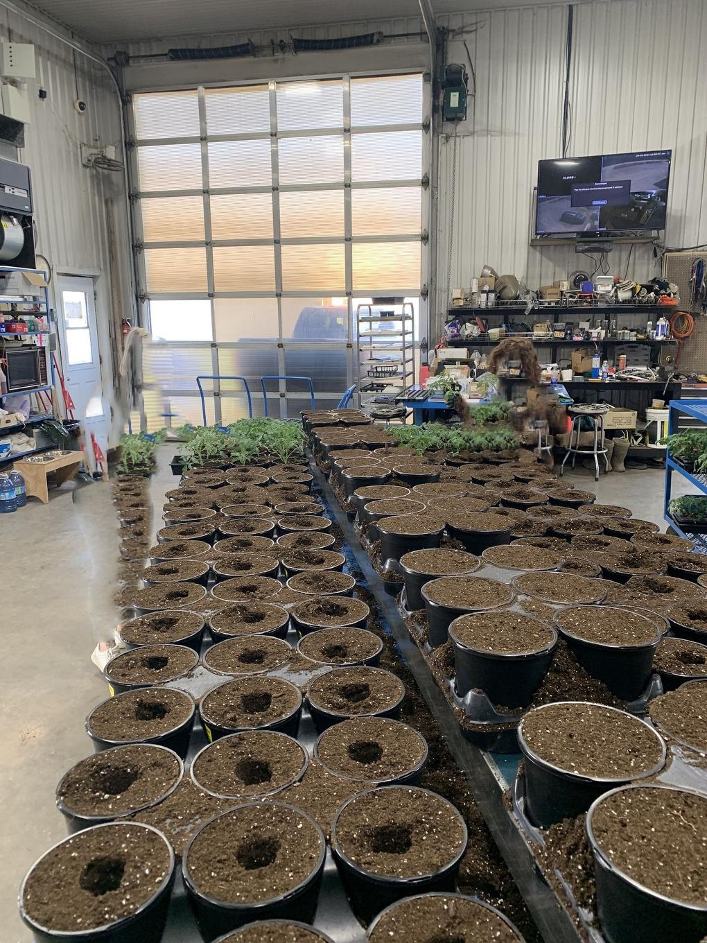 Greenhouse - 215 Ch. England, Rouyn-Noranda, QC - Indoor Photo Showing Other Room