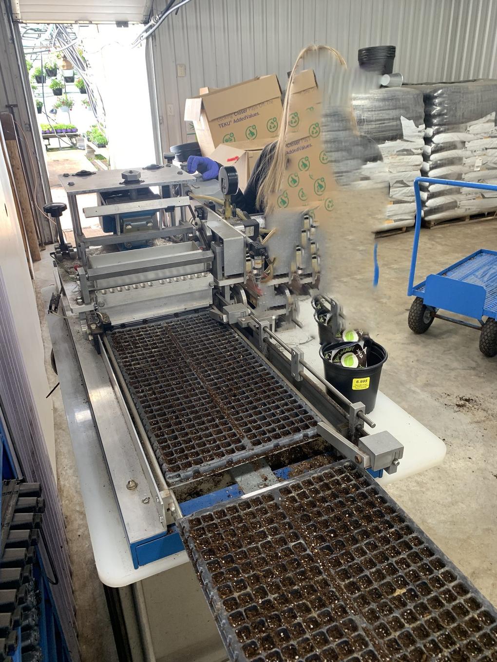 Greenhouse - 215 Ch. England, Rouyn-Noranda, QC -