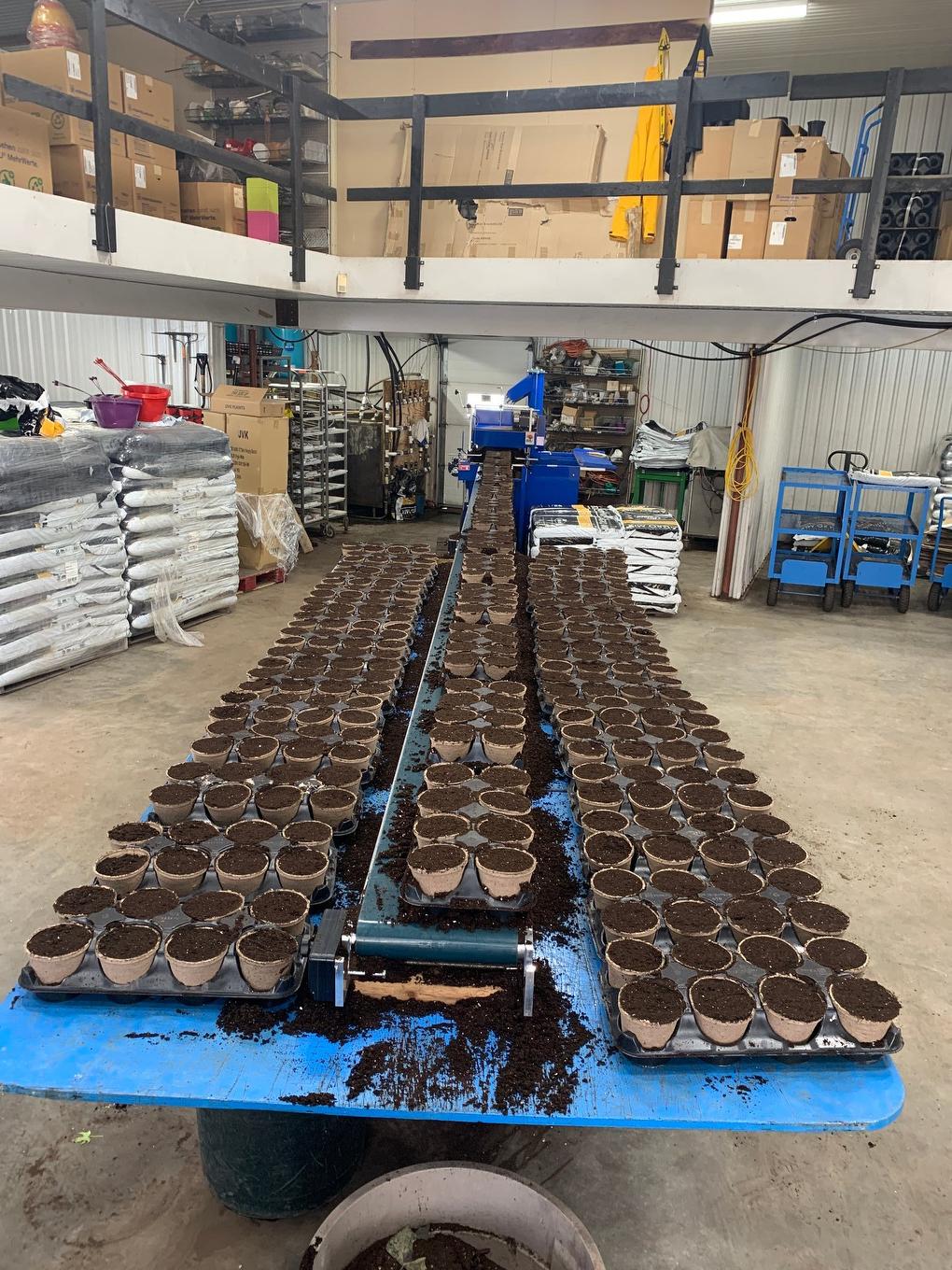 Greenhouse - 215 Ch. England, Rouyn-Noranda, QC - Indoor