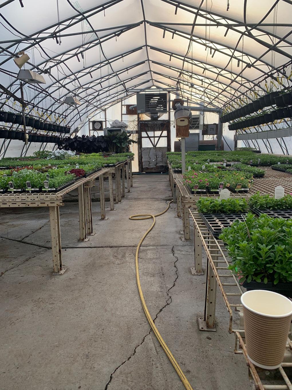 Greenhouse - 215 Ch. England, Rouyn-Noranda, QC - Outdoor