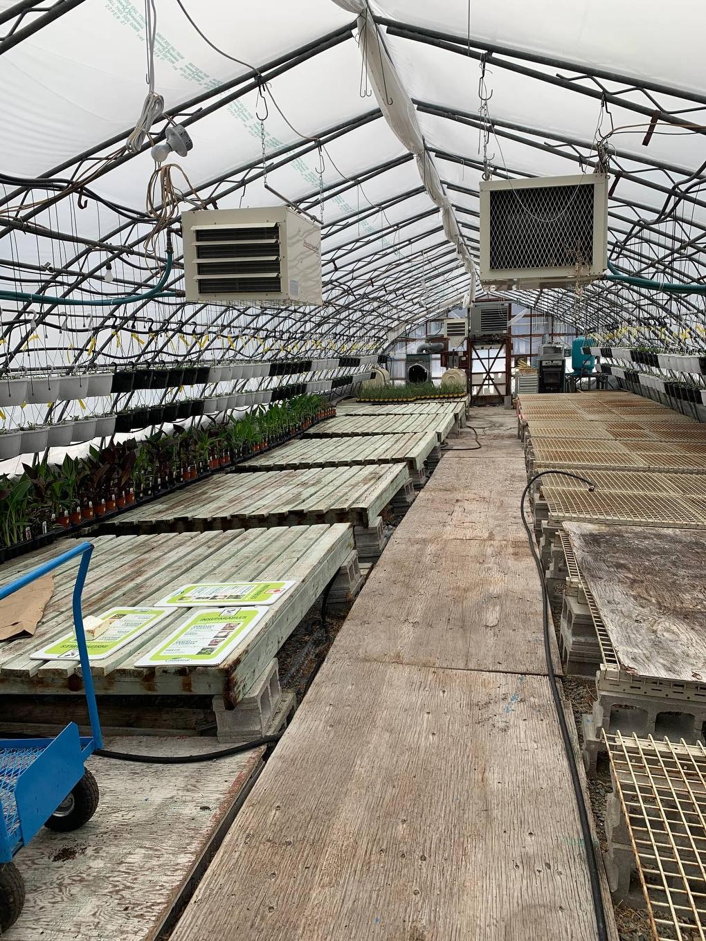 Greenhouse - 215 Ch. England, Rouyn-Noranda, QC -