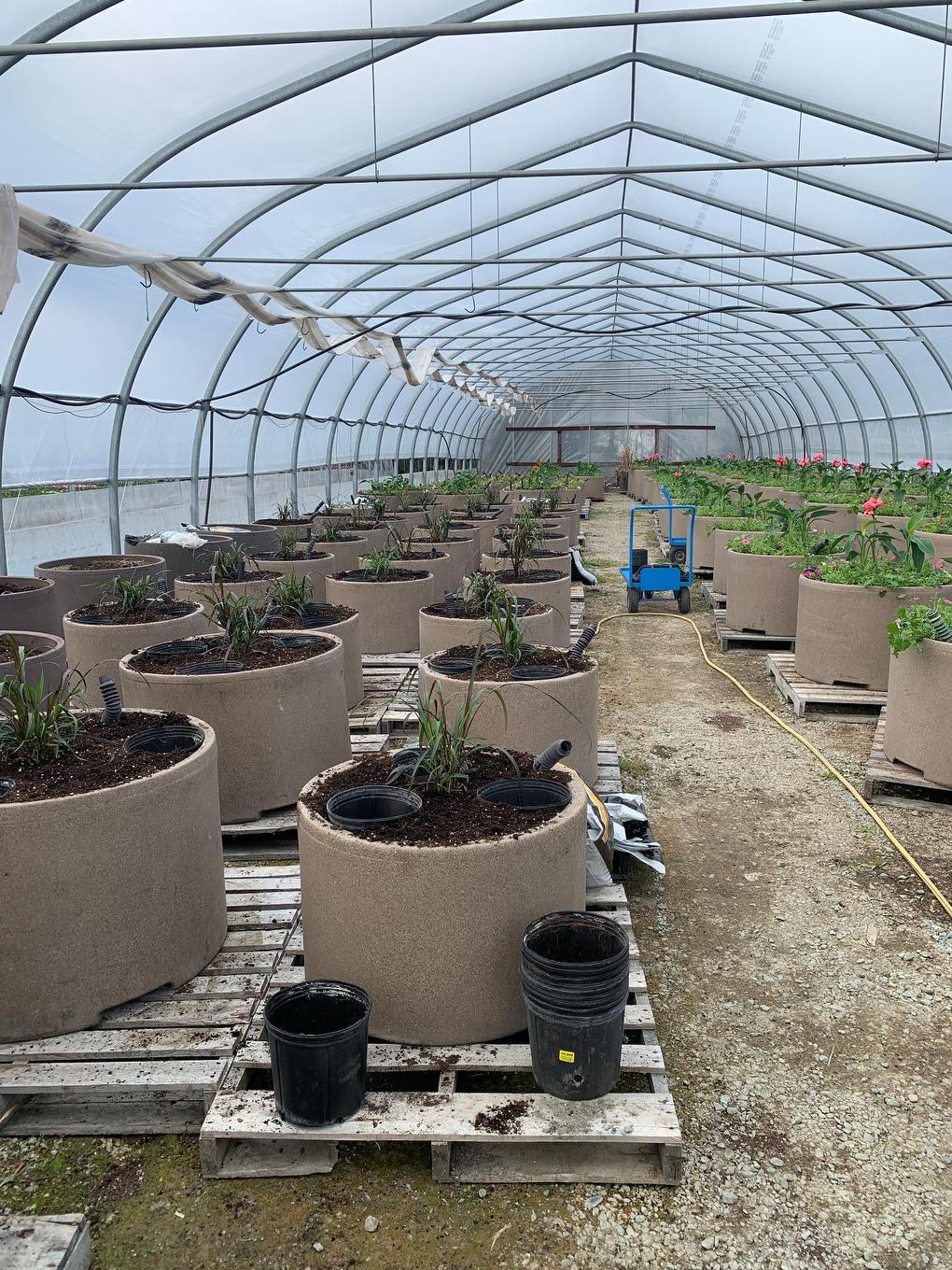 Greenhouse - 215 Ch. England, Rouyn-Noranda, QC -