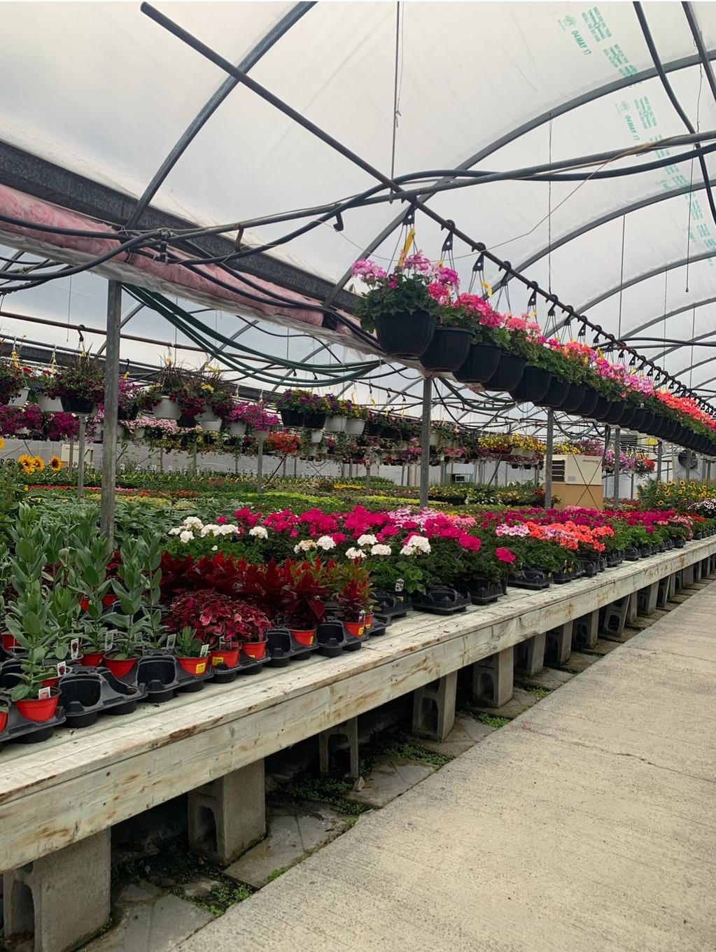 Greenhouse - 215 Ch. England, Rouyn-Noranda, QC - Photo Showing Other Room