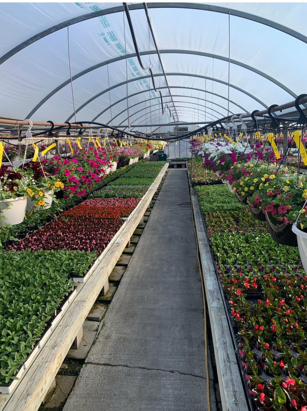 Greenhouse - 215 Ch. England, Rouyn-Noranda, QC - Outdoor