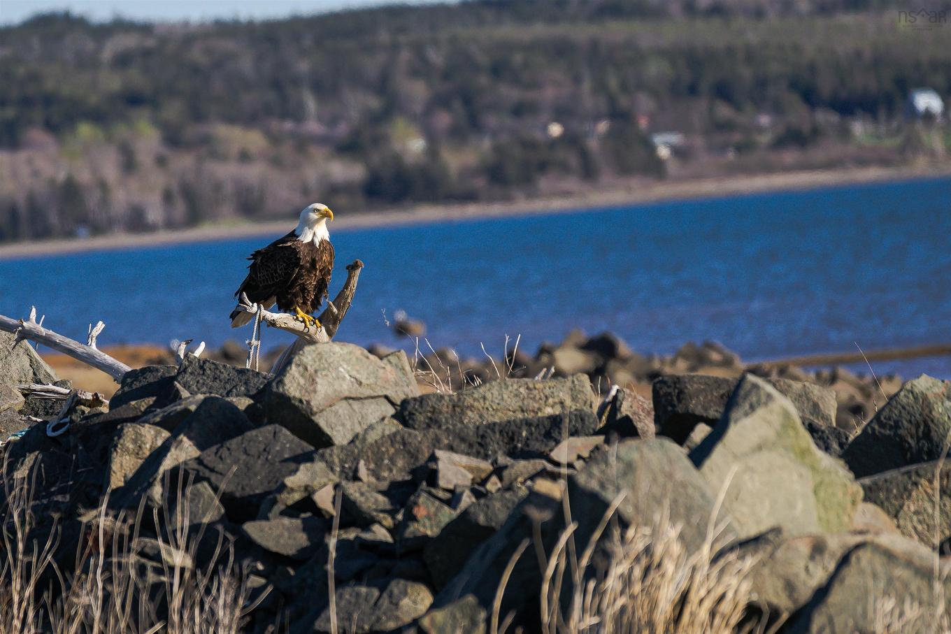 Lower Cross Road, Rossway, NS
