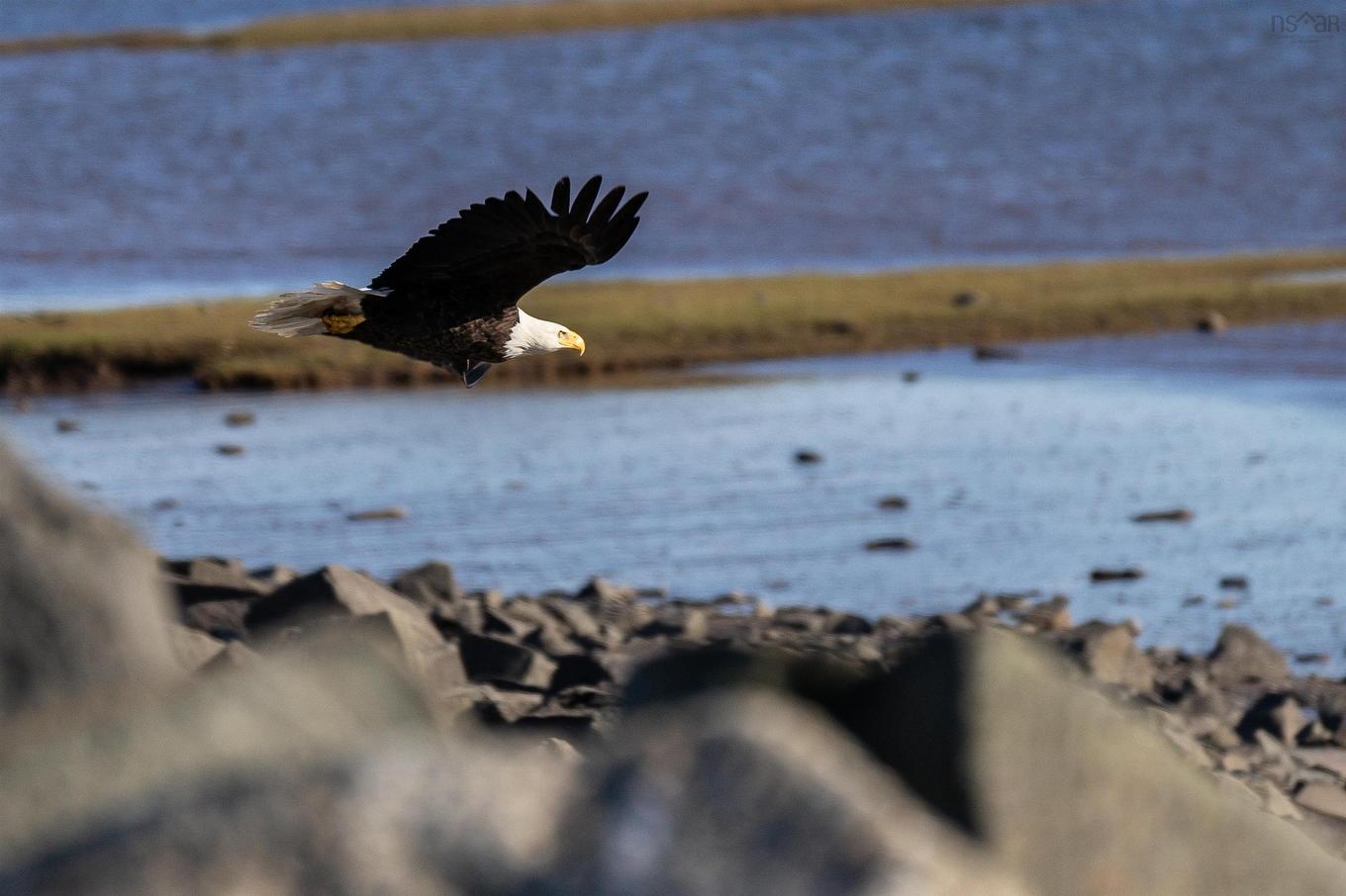 Lower Cross Road, Rossway, NS