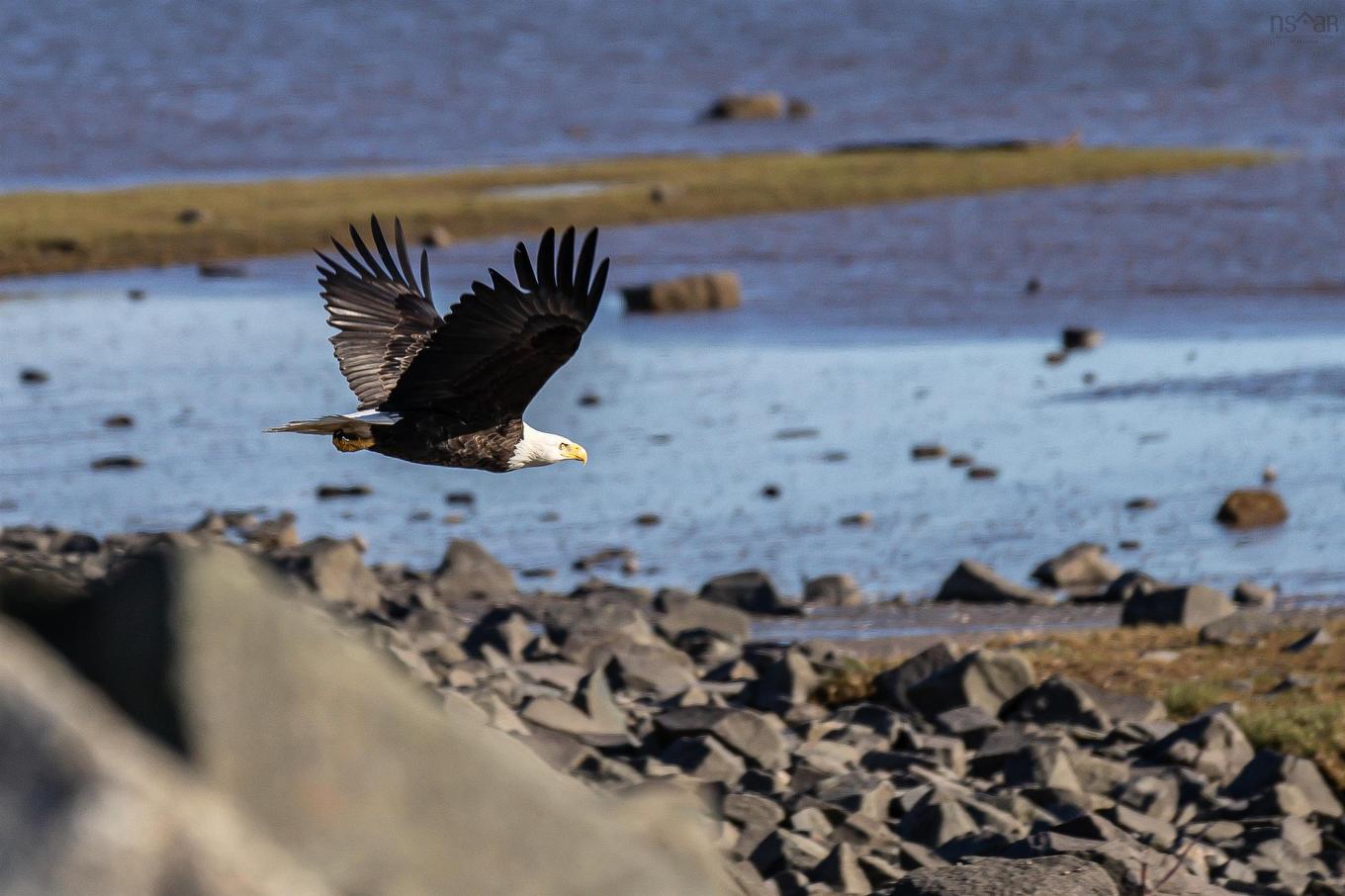 Lower Cross Road, Rossway, NS