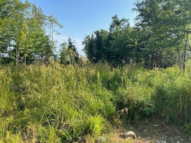Lot 5 Highland Drive, Ardoise, NS