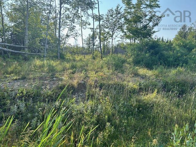 Lot 5 Highland Drive, Ardoise, NS