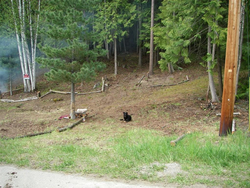 71 Birch Close, Anglemont, BC - Outdoor