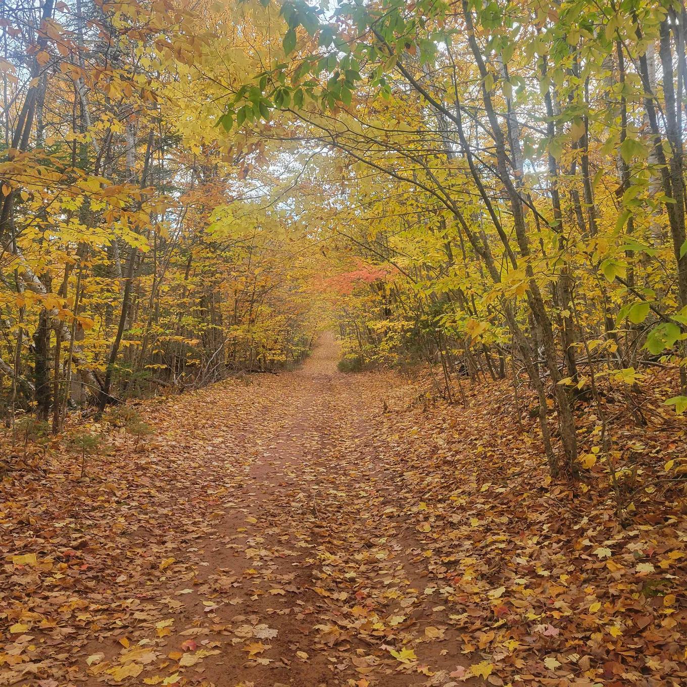 A19 Riverbend Lane, North Granville, PE