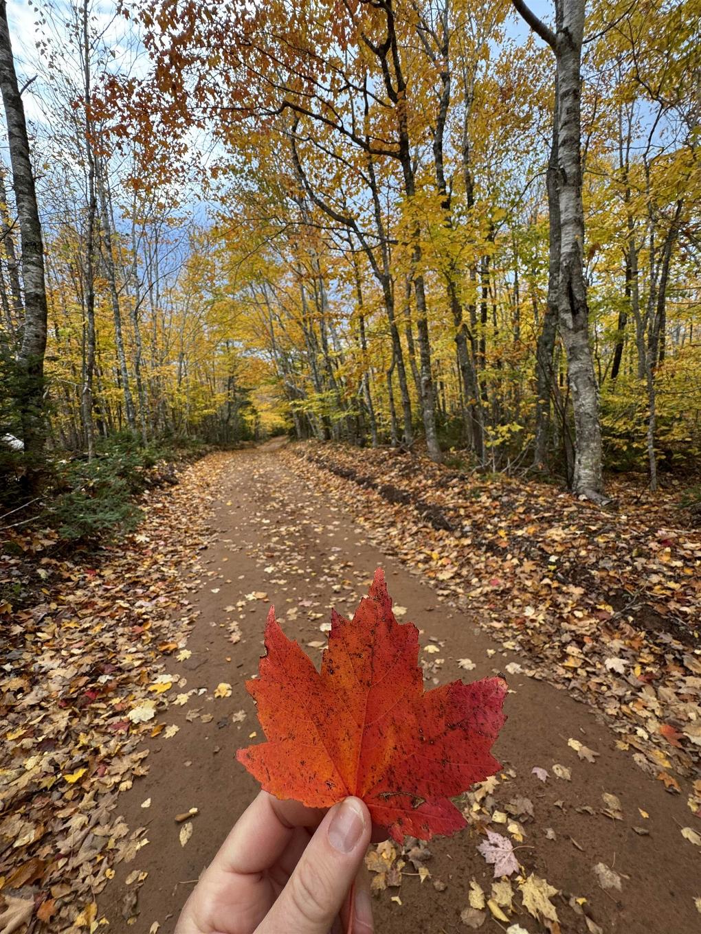 A19 Riverbend Lane, North Granville, PE