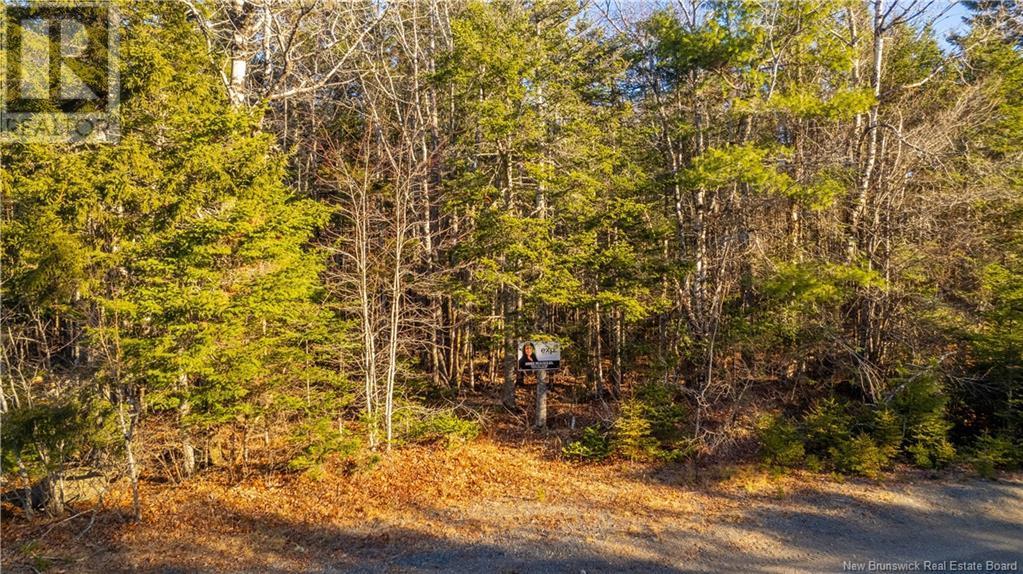 Vacant Land Boyd Road, Clarence Ridge, NB