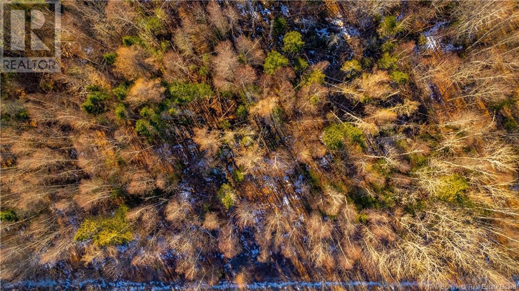 Vacant Land Boyd Road, Clarence Ridge, NB