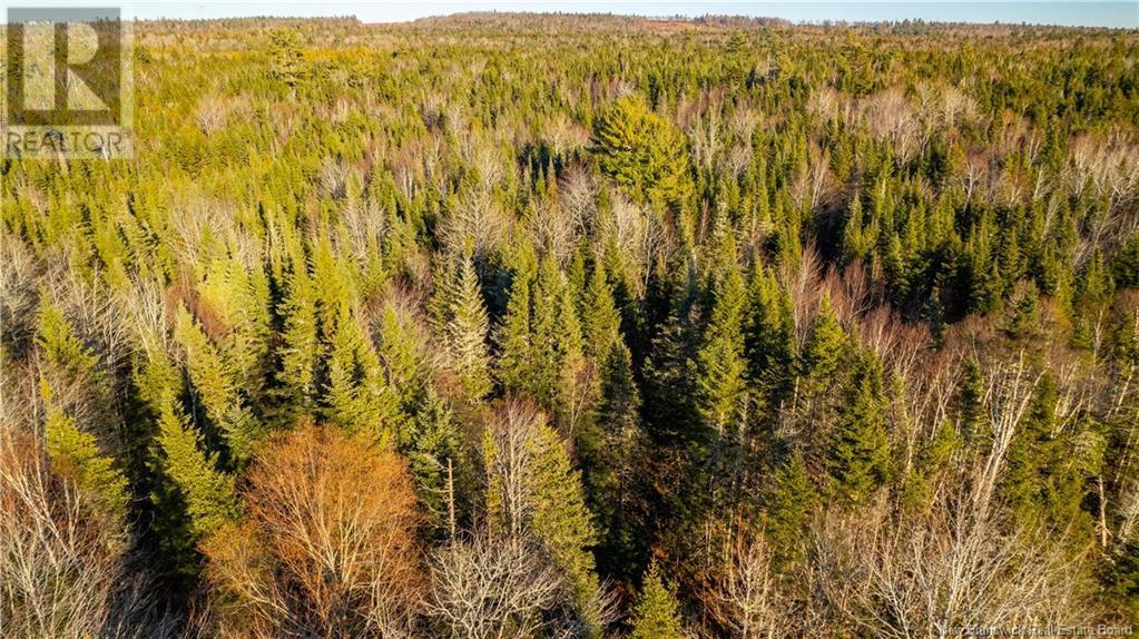 Vacant Land Boyd Road, Clarence Ridge, NB