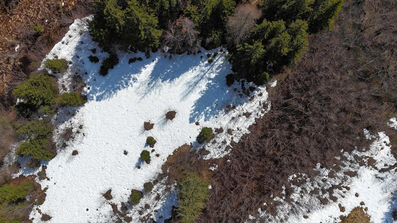 0 East Big Intervale Rd. Roads, North East Margaree, NS