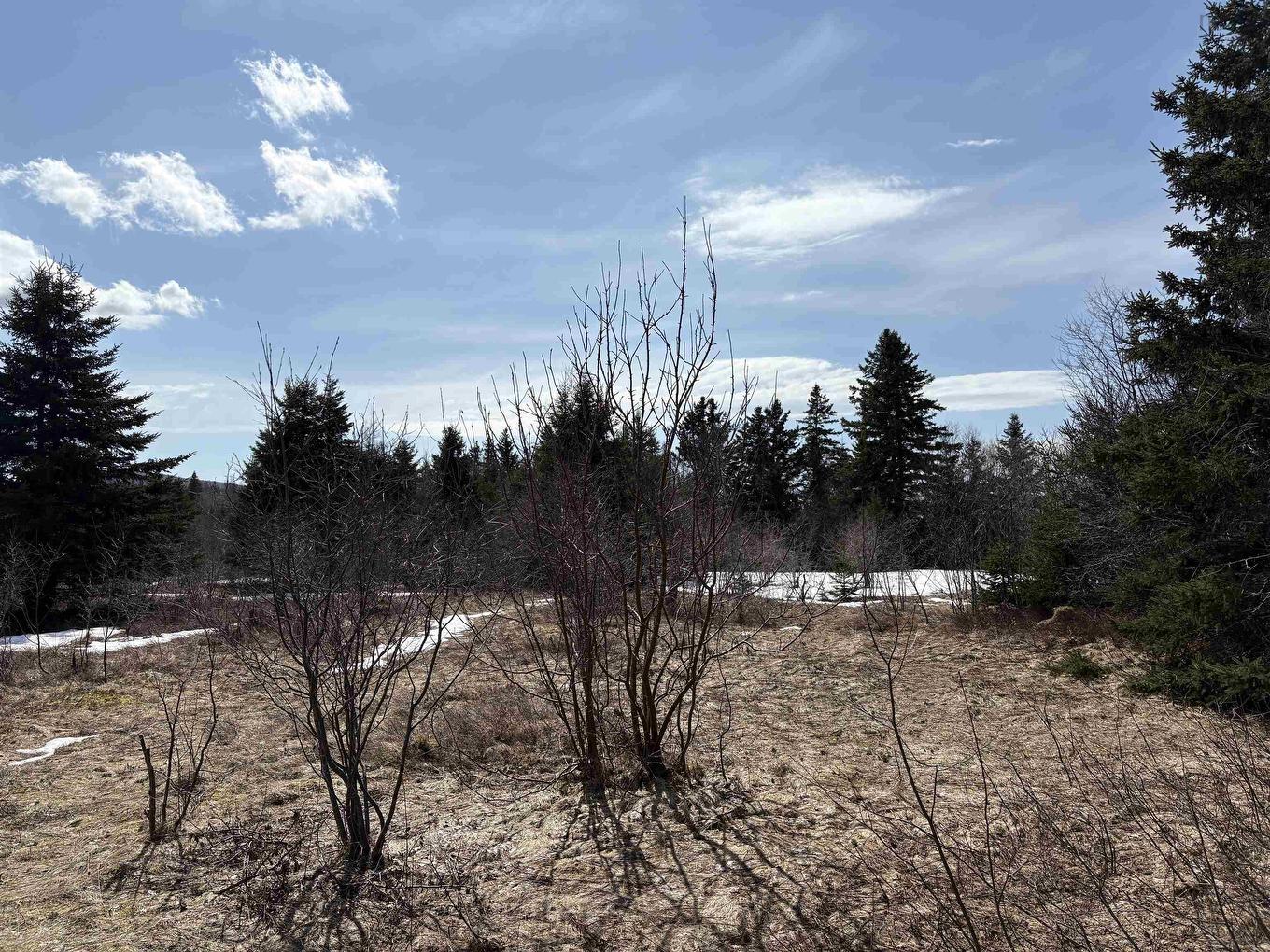 0 East Big Intervale Rd. Roads, North East Margaree, NS