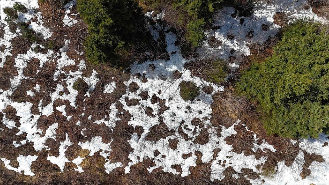 0 East Big Intervale Rd. Roads, North East Margaree, NS