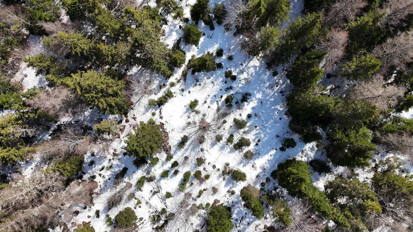 0 East Big Intervale Rd. Roads, North East Margaree, NS