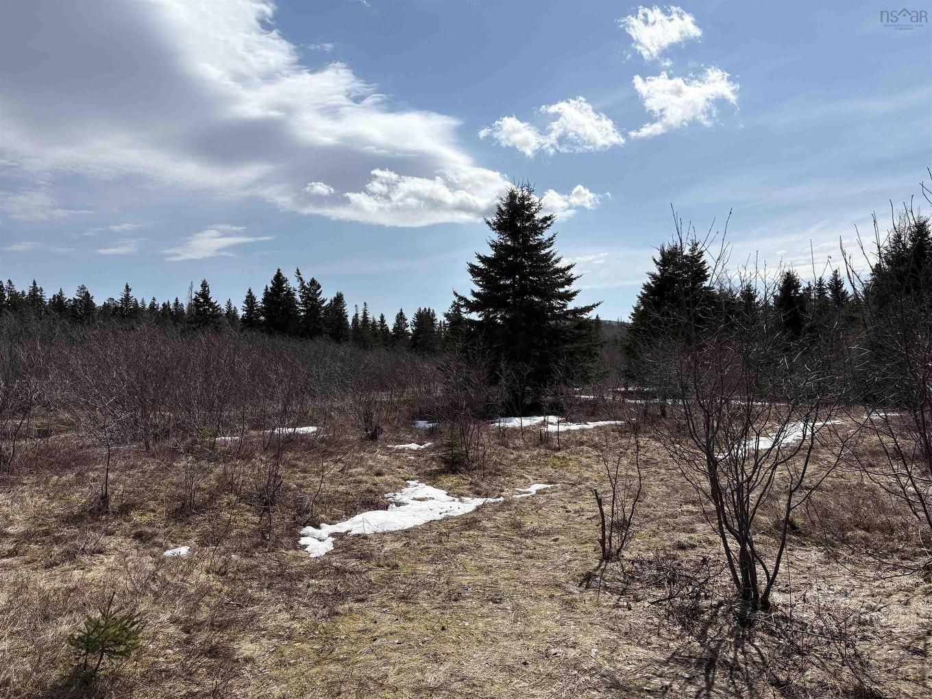 0 East Big Intervale Rd. Roads, North East Margaree, NS