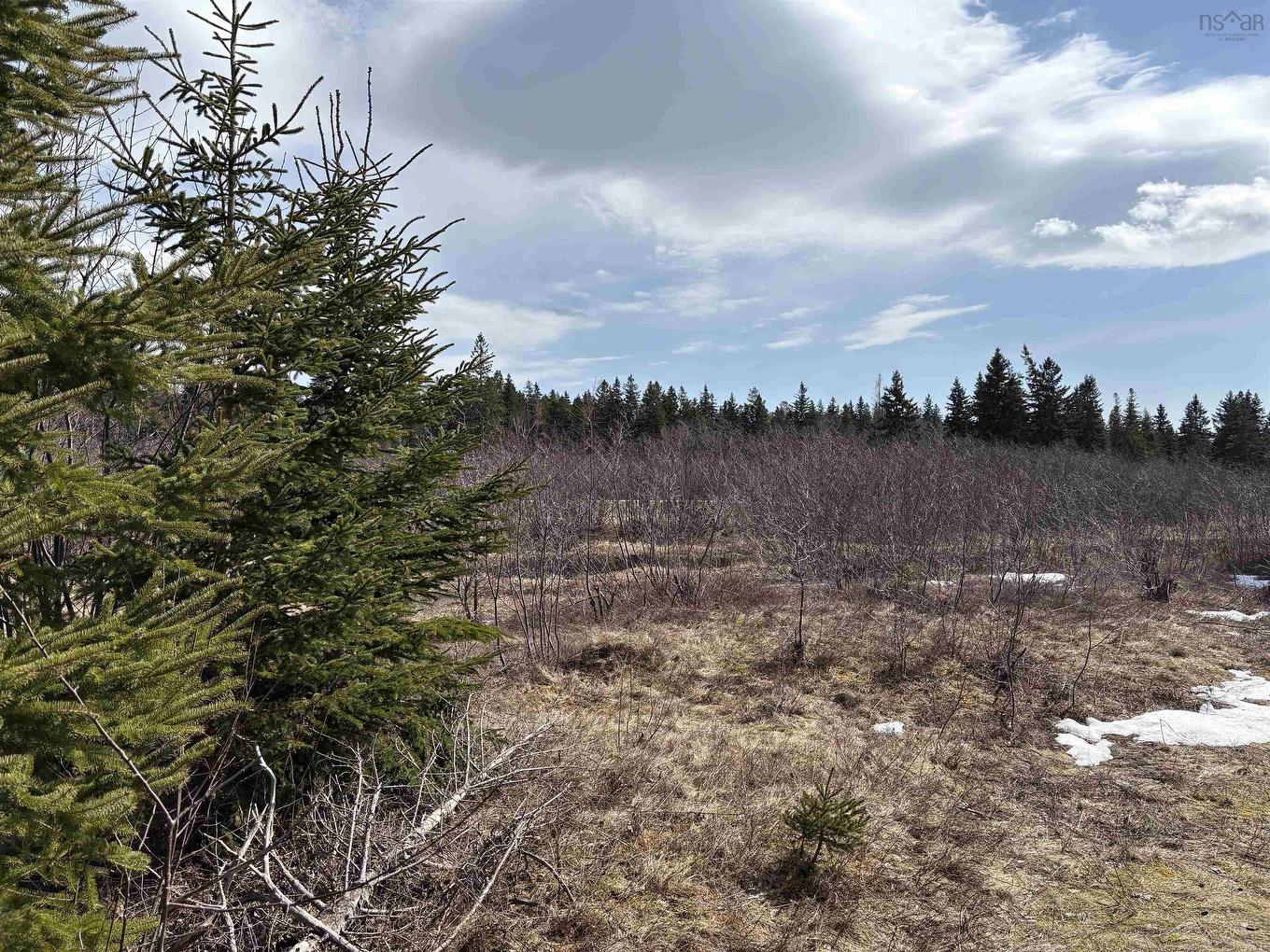 0 East Big Intervale Rd. Roads, North East Margaree, NS