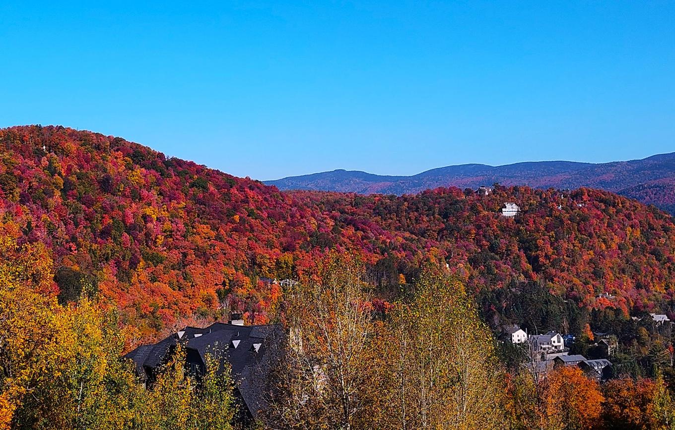 View - 5-290 Rue Du Mont-Plaisant, Mont-Tremblant, QC - Outdoor With View
