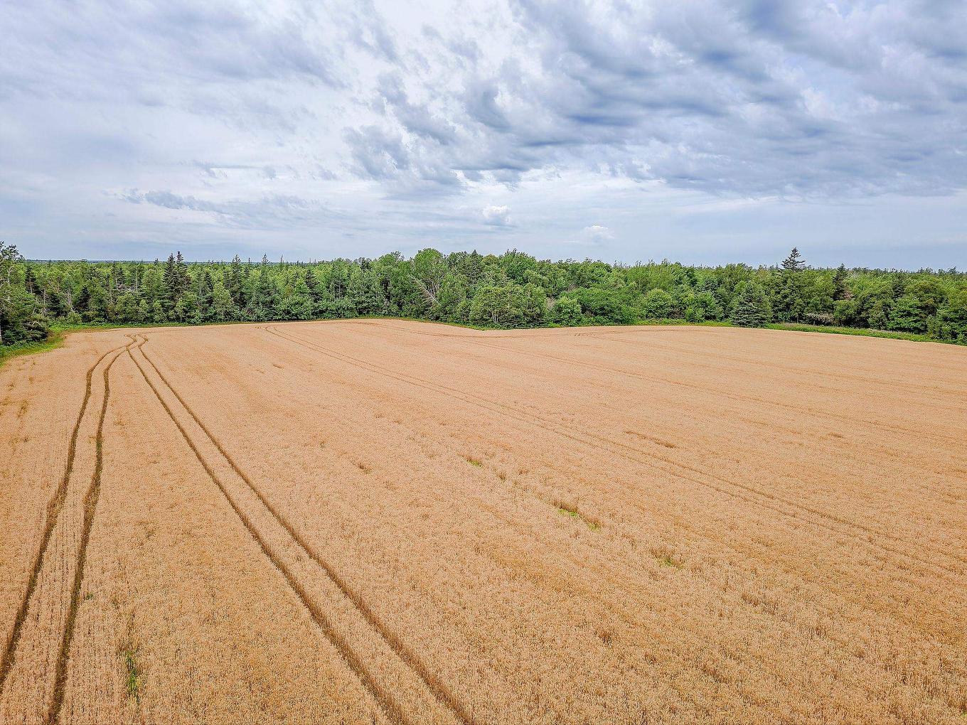 Acreage Bear River Road, Bear River, PE