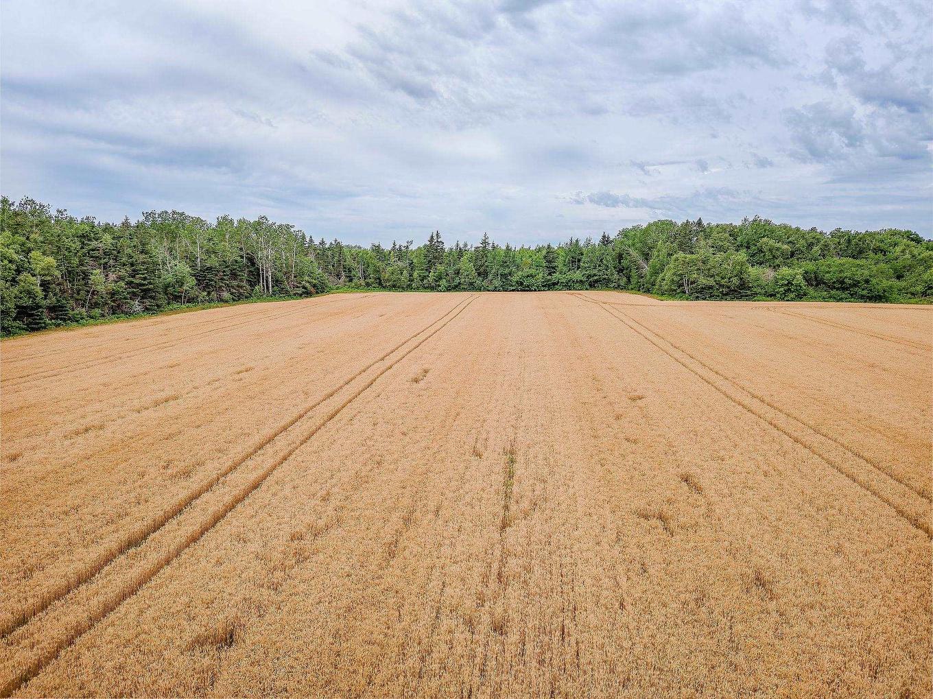 Acreage Bear River Road, Bear River, PE