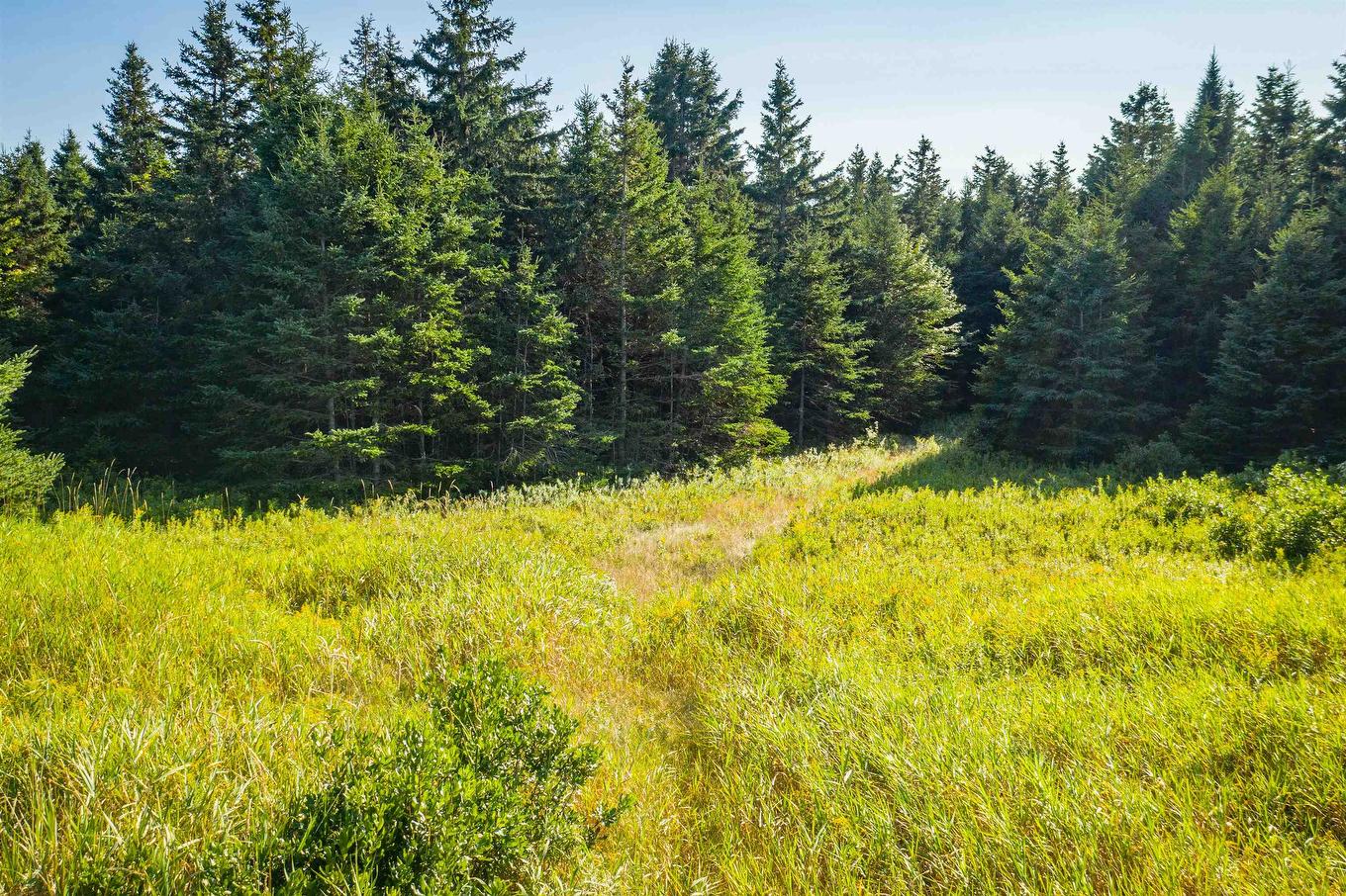 Acreage Lower Rollo Bay Road, Rollo Bay, PE