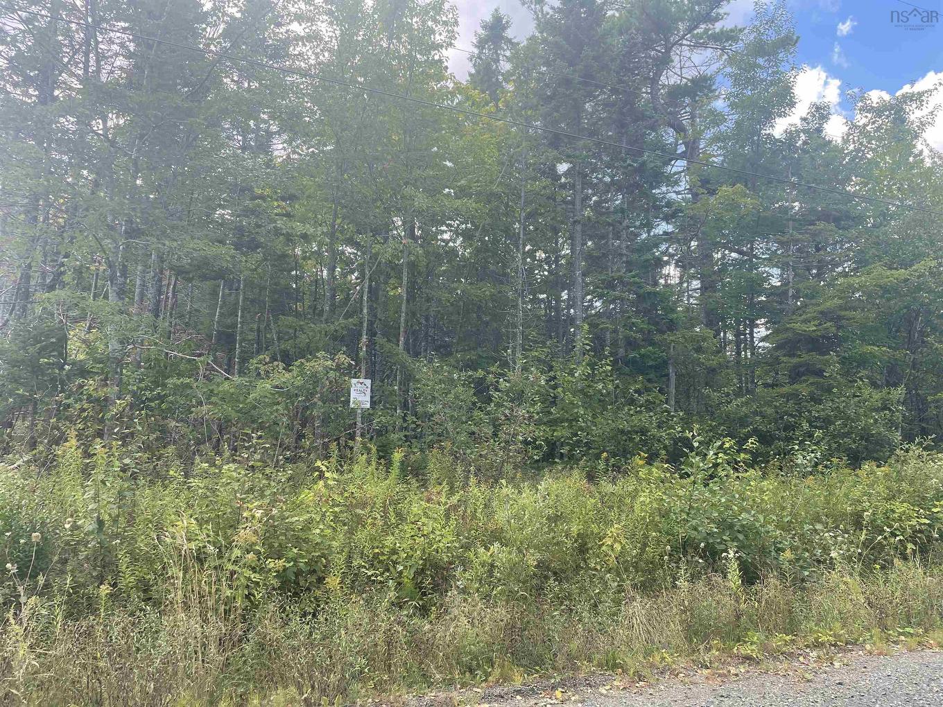 Militia Point Road, Inverness, NS