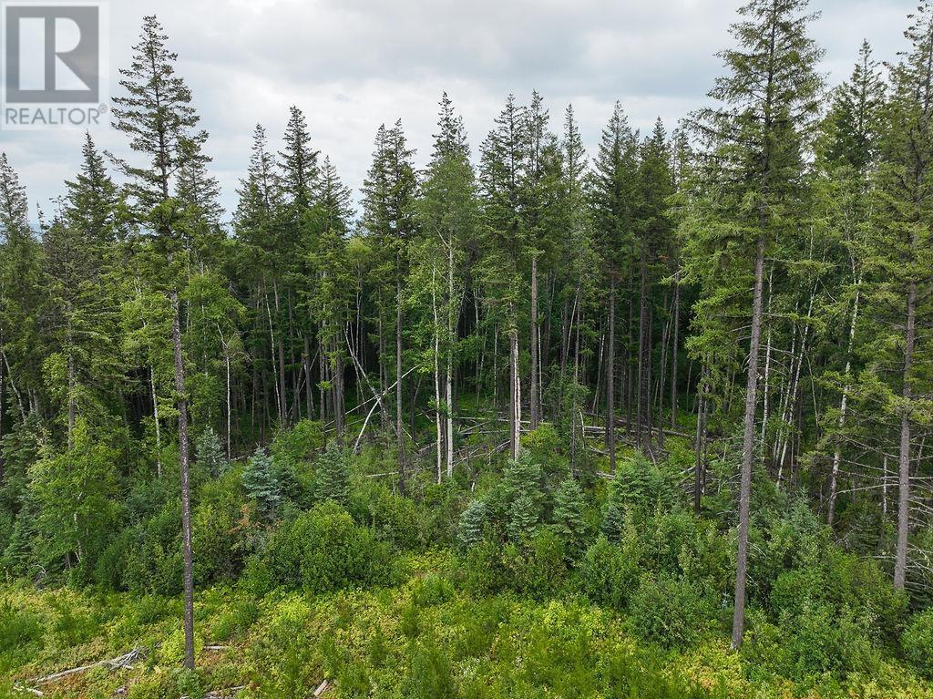 Dl 9264-9265 University Way, Prince George, BC