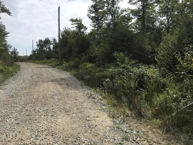 Lot 2 Lake Fanning Road, Carleton, NS