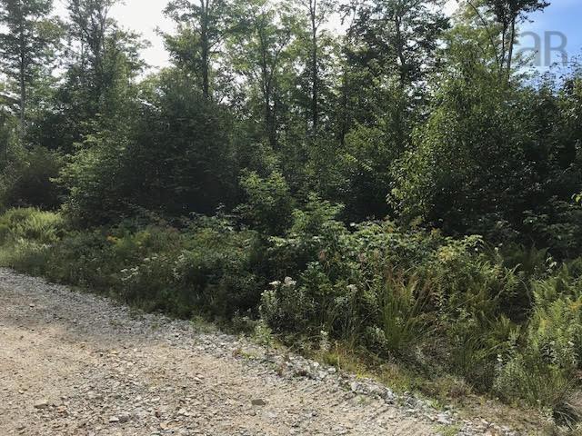 Lot 2 Lake Fanning Road, Carleton, NS