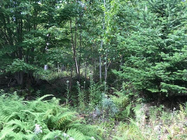 Lot 2 Lake Fanning Road, Carleton, NS