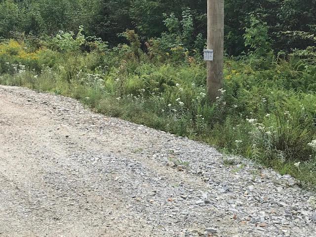 Lot 2 Lake Fanning Road, Carleton, NS