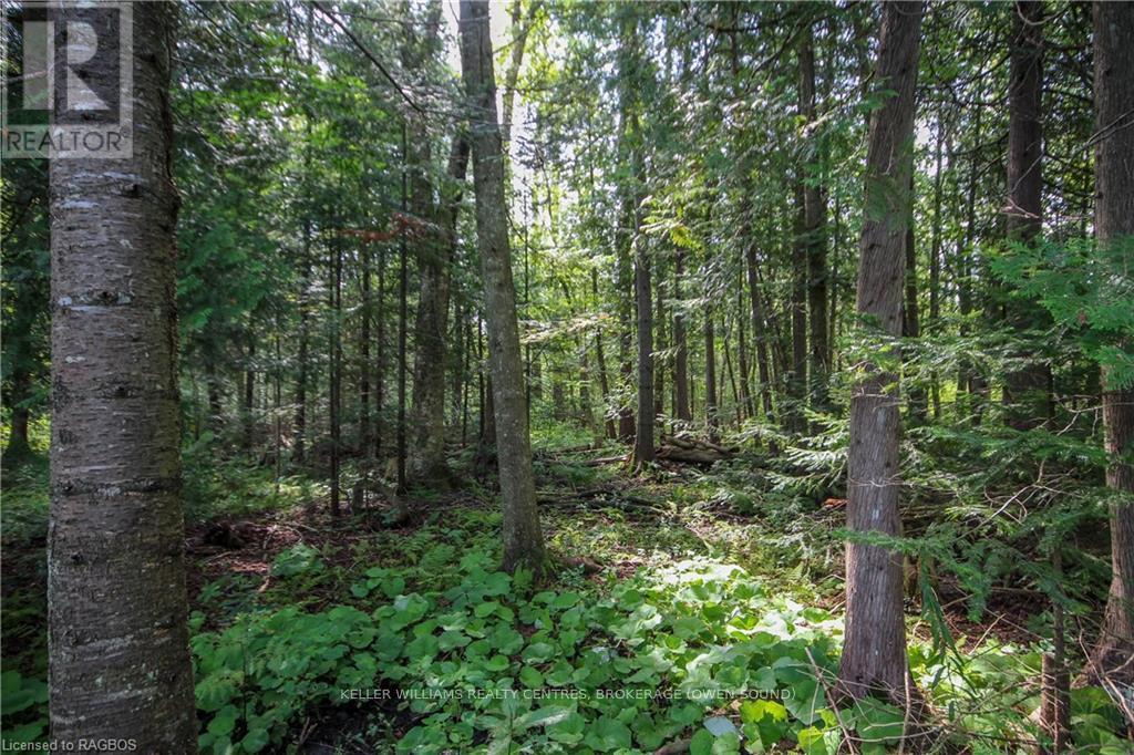 173680 Mulock Road, West Grey, ON - Outdoor