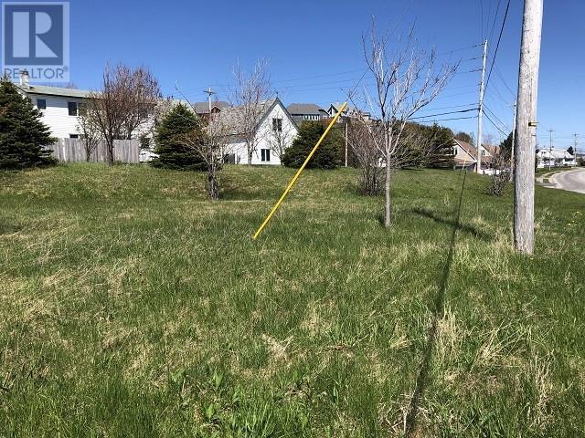 65 Ohio Drive, Stephenville, NL