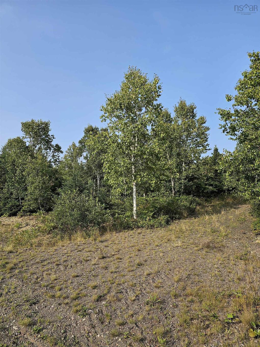 Lot 52 Fundy Lane, Two Islands, NS