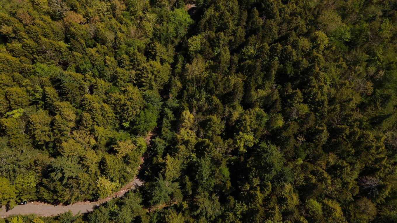 44 Hunts Camp Lane, Labelle, NS