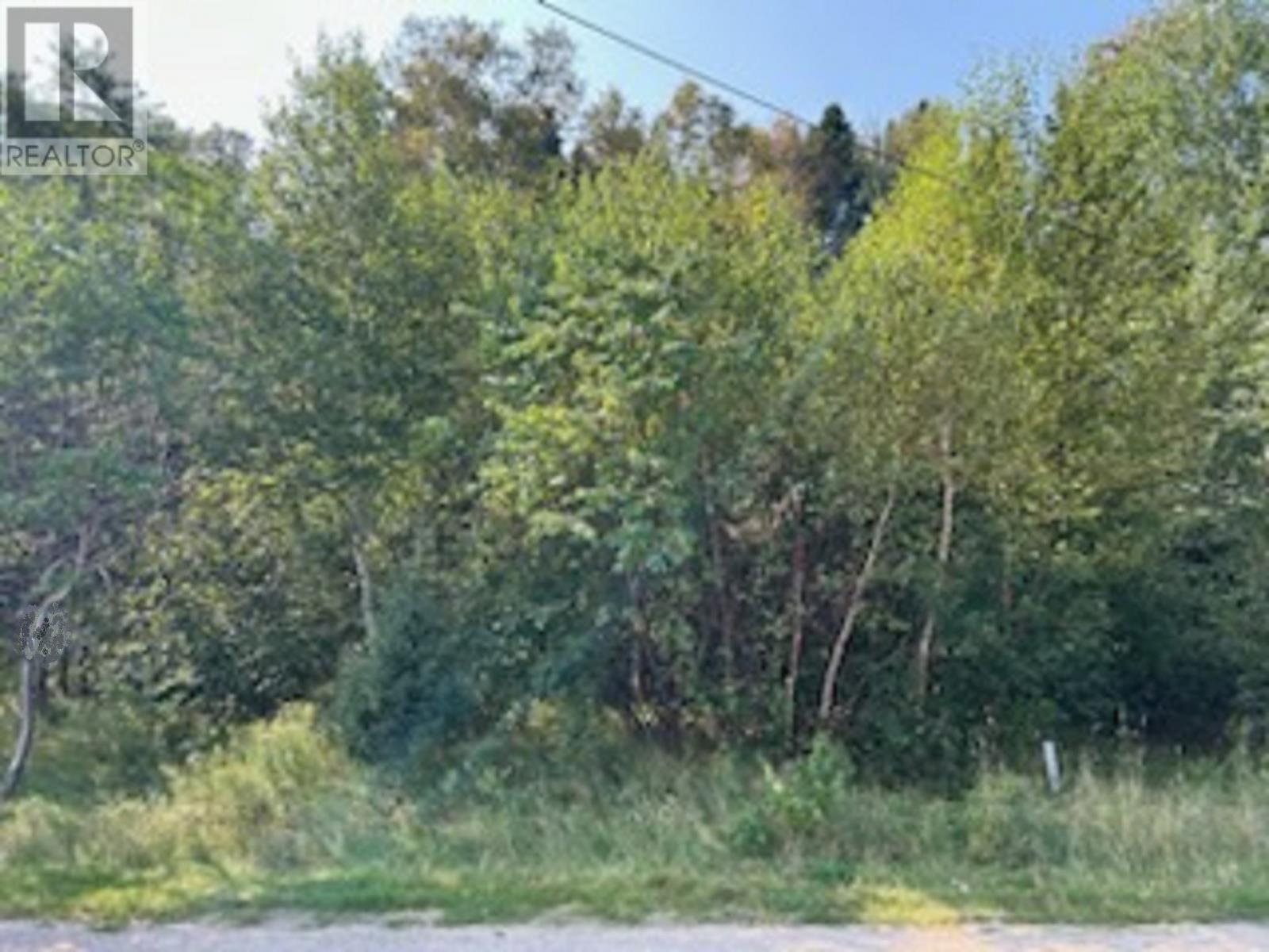 142 Main Street, Traytown, NL