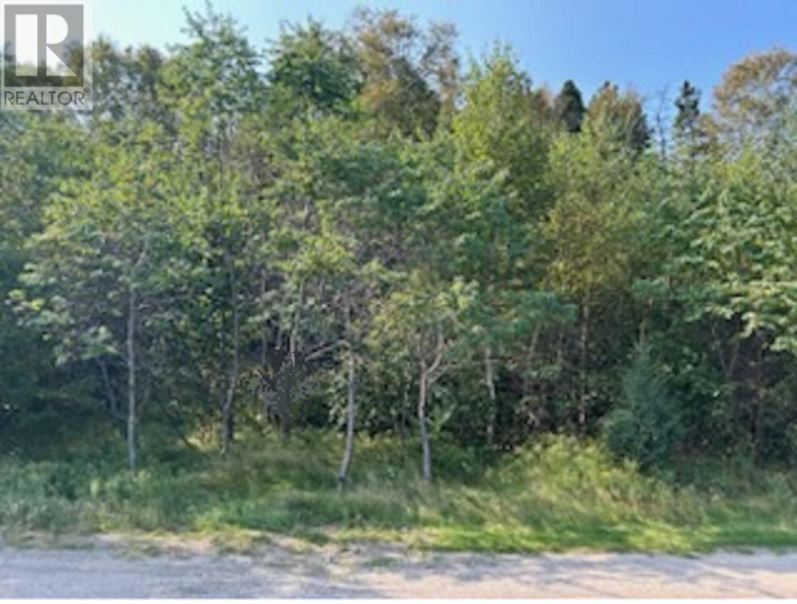 142 Main Street, Traytown, NL