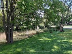 227 A QUEEN STREET Selwyn, ON K0L 2H0