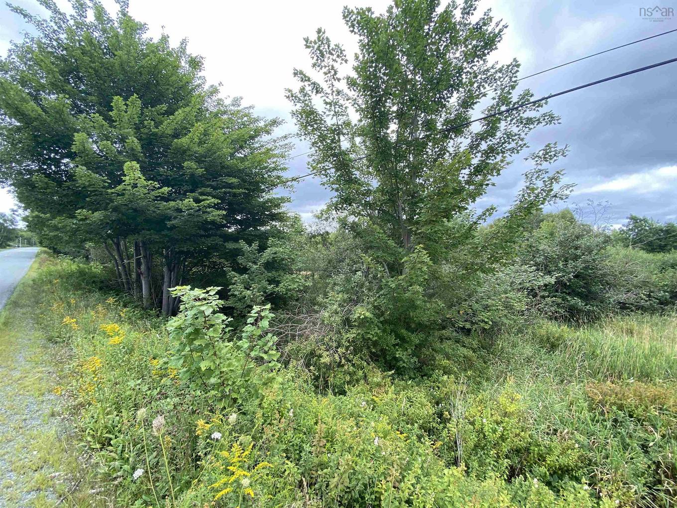 Lot (Pid 60326535) Upper Branch Road, Auburndale, NS