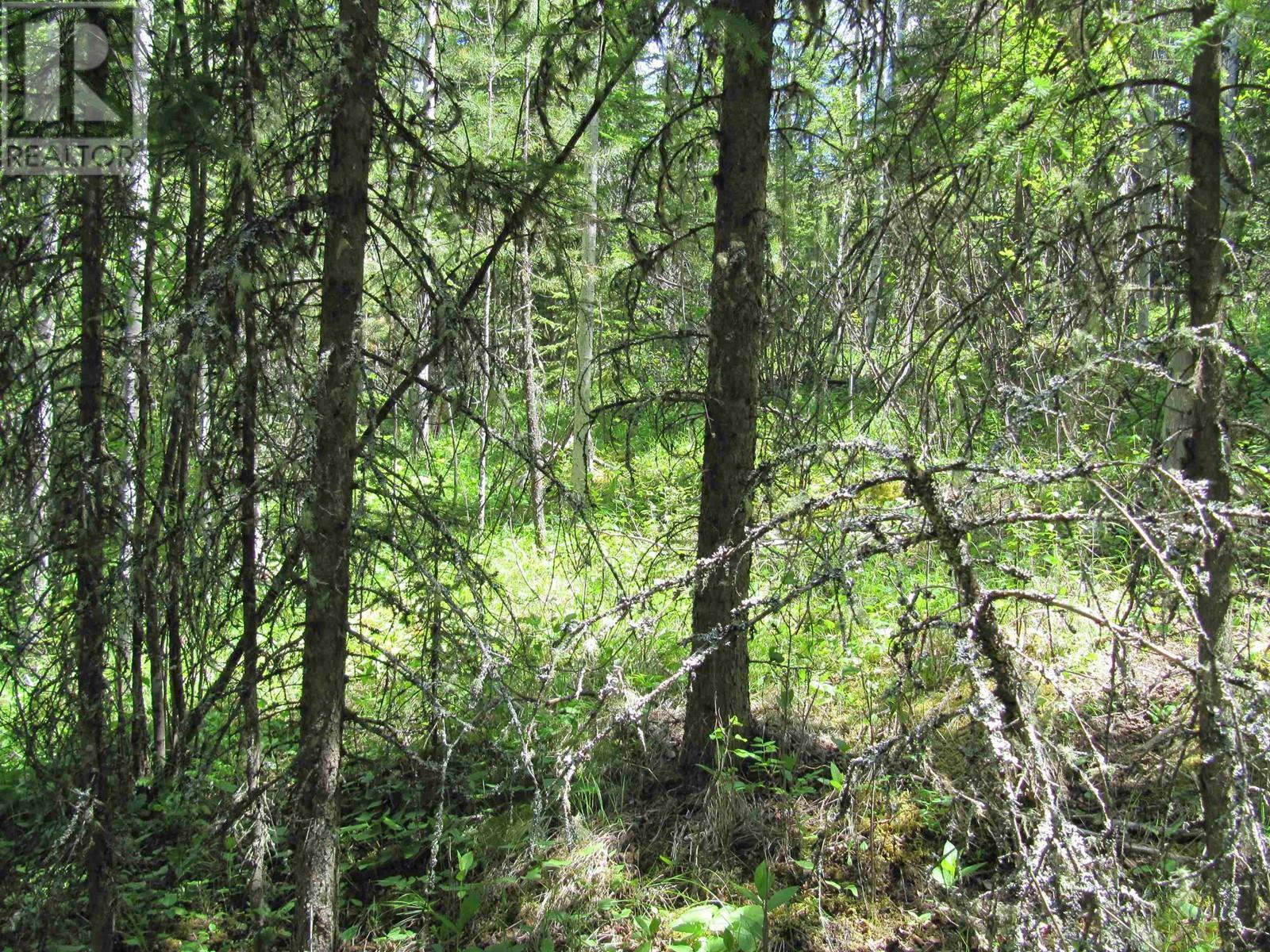 Lots 29 & 30 Mulligan Drive, 100 Mile House, BC