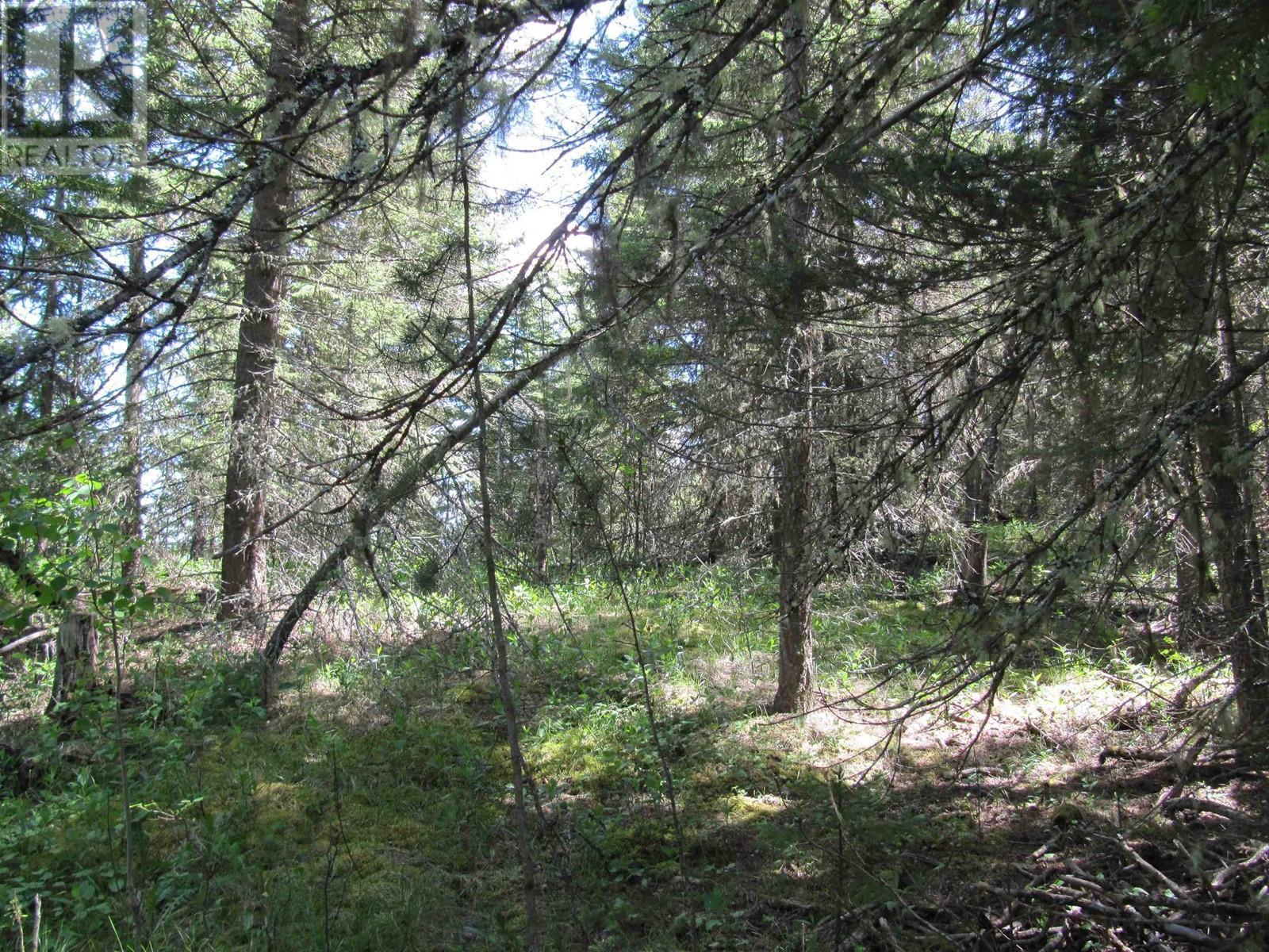 Lots 29 & 30 Mulligan Drive, 100 Mile House, BC