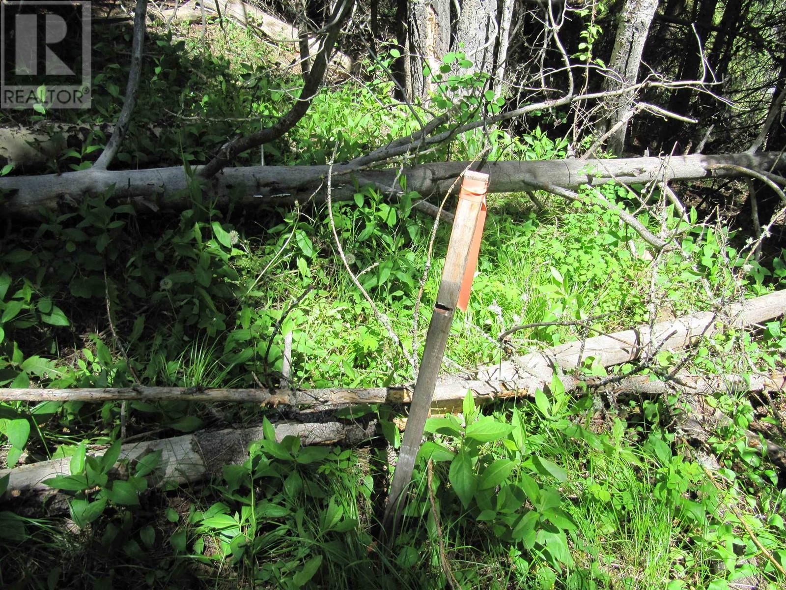 Lots 29 & 30 Mulligan Drive, 100 Mile House, BC